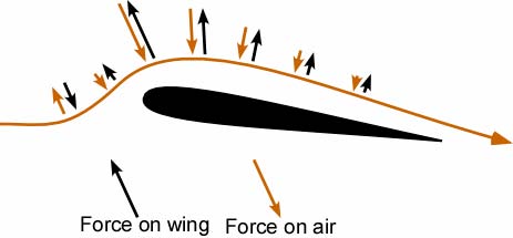 Kräfte auf Luft und Flügel